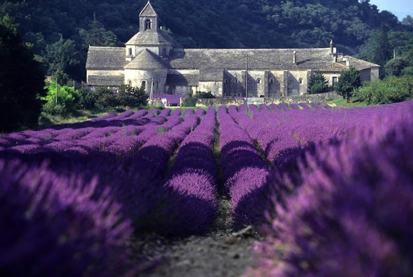 Gite Hanna En Luberon - Le Boisset De St Martin De Castillon Saint-Martin-de-Castillon المظهر الخارجي الصورة